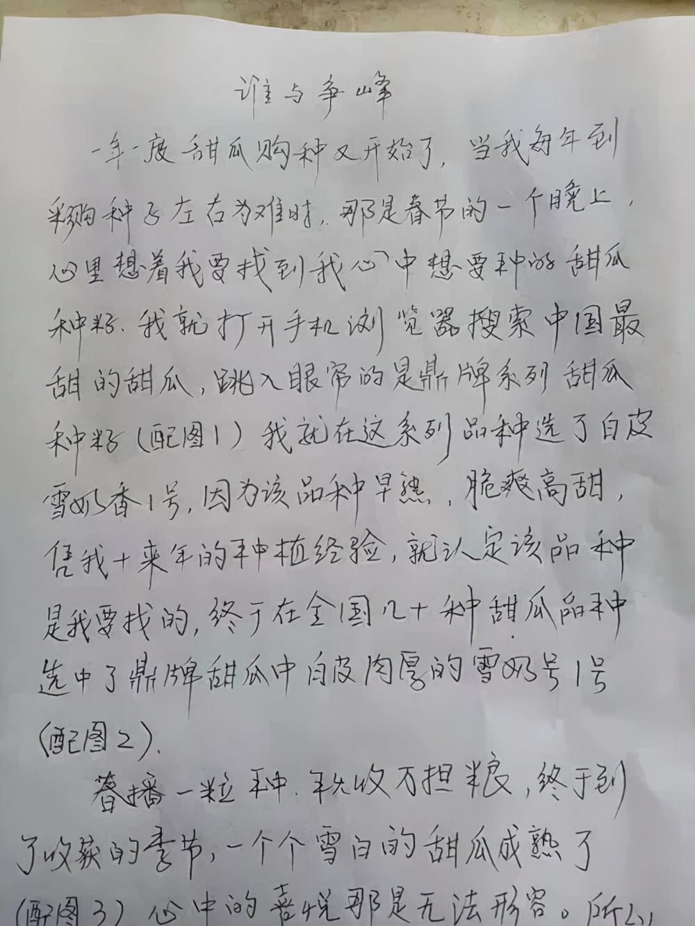 河南焦作的李向林今年種植甜瓜新品種，客戶直接拉貨走人