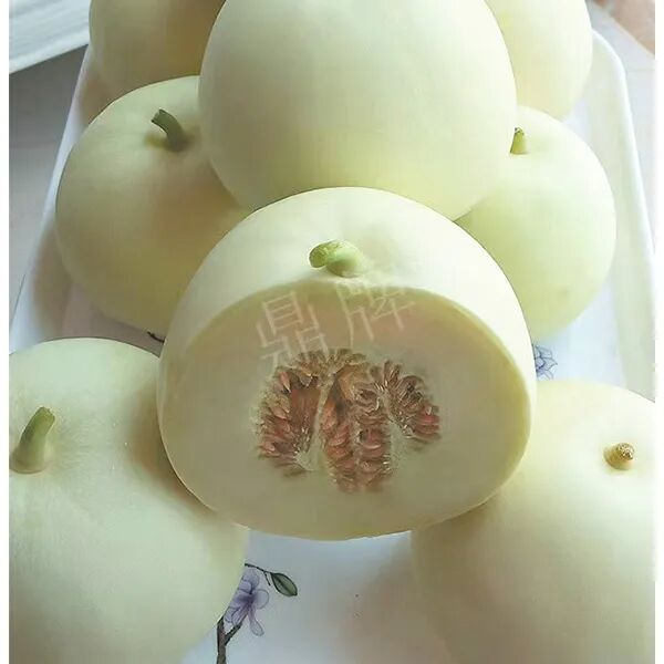 蔬菜種子種植戶種植心得-這個(gè)品種幫我留一些，4月份我們當(dāng)?shù)剡€要種一批